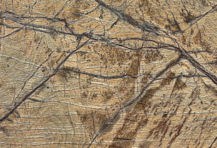 MARMORE RAIN FOREST YELLOW/GOLD MARMORE RAIN FOREST YELLOW/GOLD