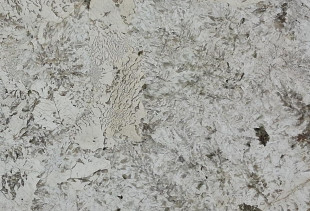 GRANITO ALPINUS PATAGONIA GRANITO ALPINUS PATAGONIA